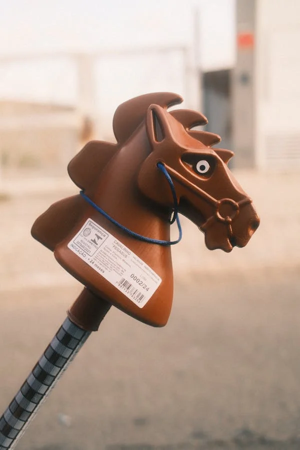 Hobby horse – sport dla małych czy dla dużych?